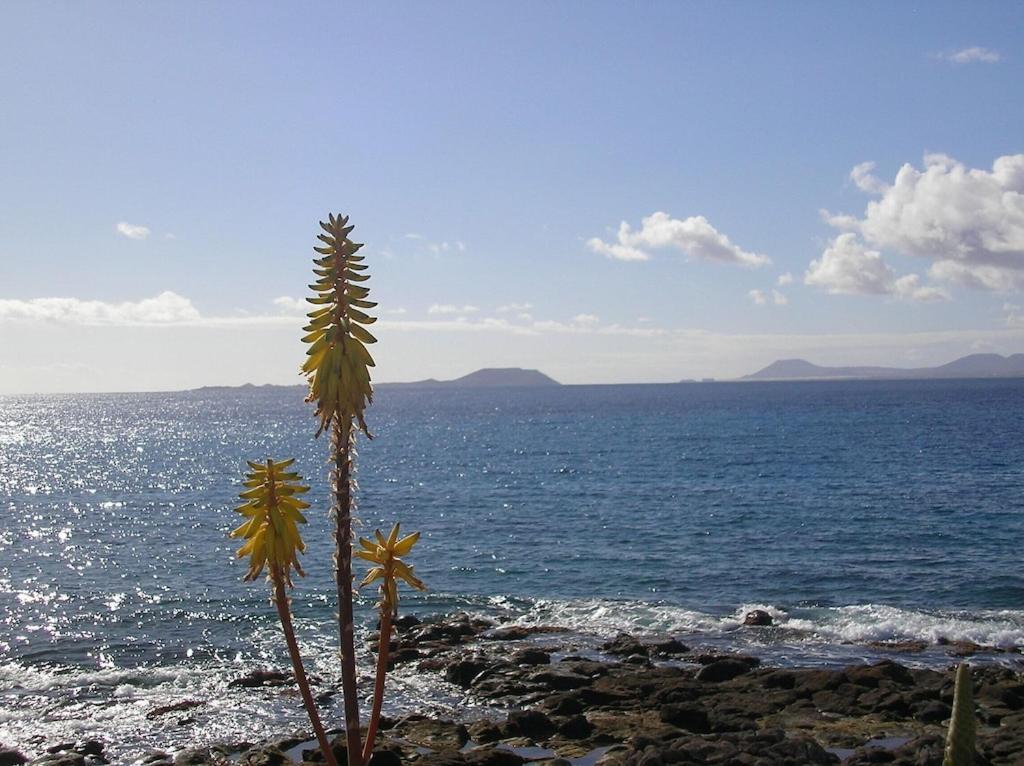 Casa Aguamarina 23B Playa Blanca (Lanzarote) Exterior foto